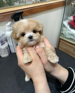 photo_2026-02-18_14-22-28