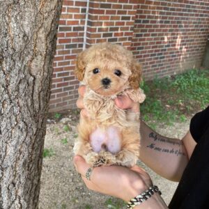 photo_2026-02-18_14-38-18